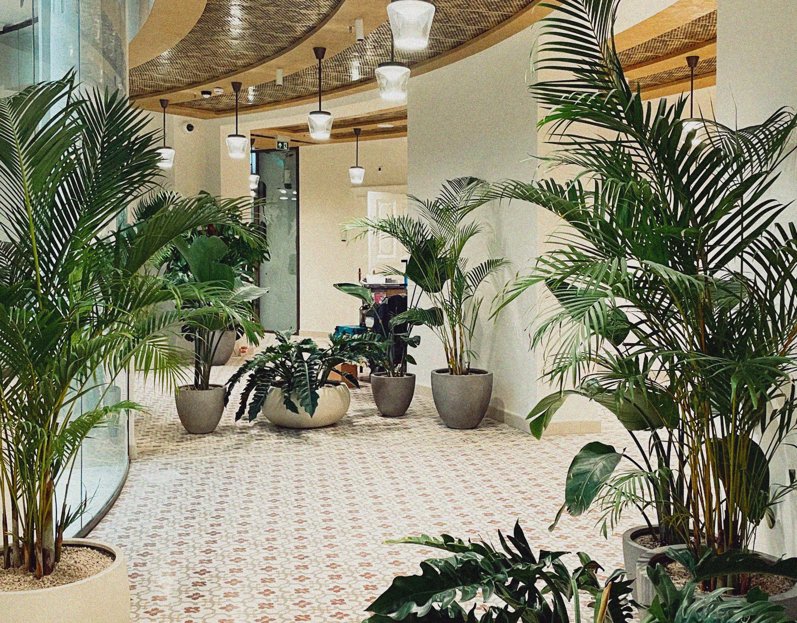 Klasszikus és modern terrazzo